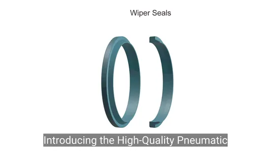 ISO9001 Certified High-Quality Pneumatic Seal for Hydraulic Cylinders